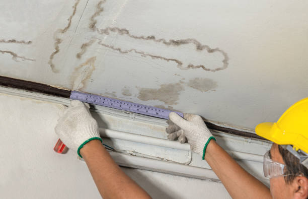 Affordable Ceiling Water Damage Repair solutions in Canby, MN